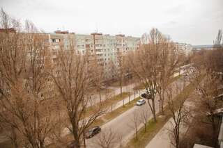 Апартаменты Semi-luxury Apartment on Zaporozhskaya 9 Запорожье Апартаменты с 1 спальней-15