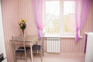 Апартаменты Semi-luxury Apartment on Zaporozhskaya 9 Запорожье Апартаменты с 1 спальней-25