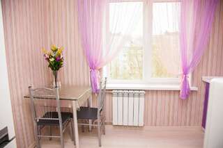Апартаменты Semi-luxury Apartment on Zaporozhskaya 9 Запорожье Апартаменты с 1 спальней-3